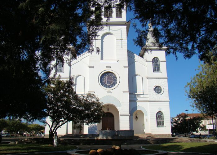 Parreiral de uvas em encosta com casa rural de pedra ao fundo.
