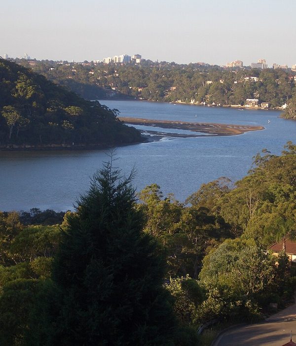 Estruturas de cultivo de ostras flutuando em baía calma ao amanhecer.