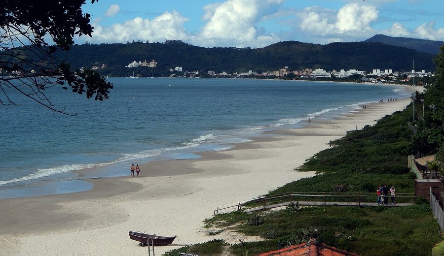 Praia ensolarada com mar esverdeado, coqueiros e banhistas ao longe.