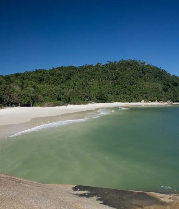 Praia de areia clara e mar esverdeado na Ilha do Campeche, com morro de mata fechada ao lado.