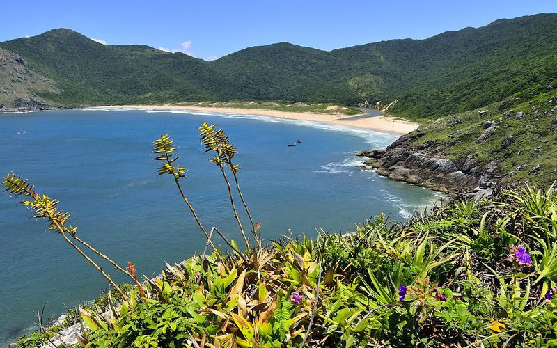 Trilha costeira levando a uma praia isolada entre morros de mata.